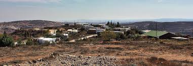 amona