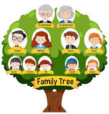 family tree