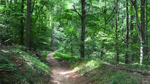 hiking