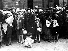 holocaust