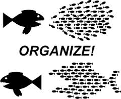 organize
