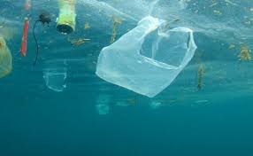 plastic bags