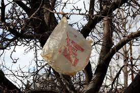 plastic