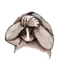 shy
