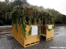 sukkah